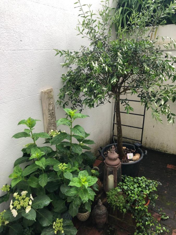 Olive Tree Apartment Hove Buitenkant foto