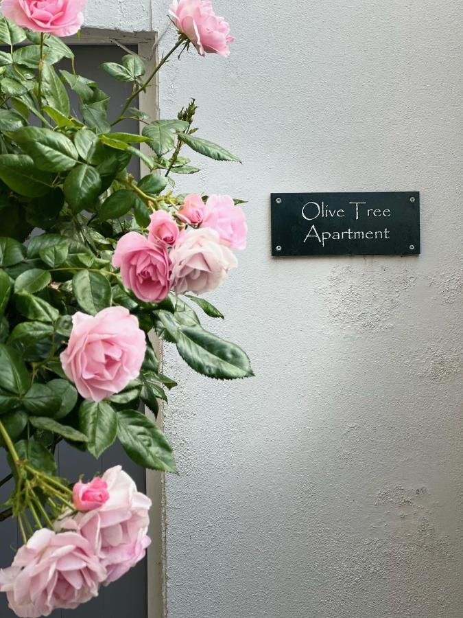 Olive Tree Apartment Hove Buitenkant foto
