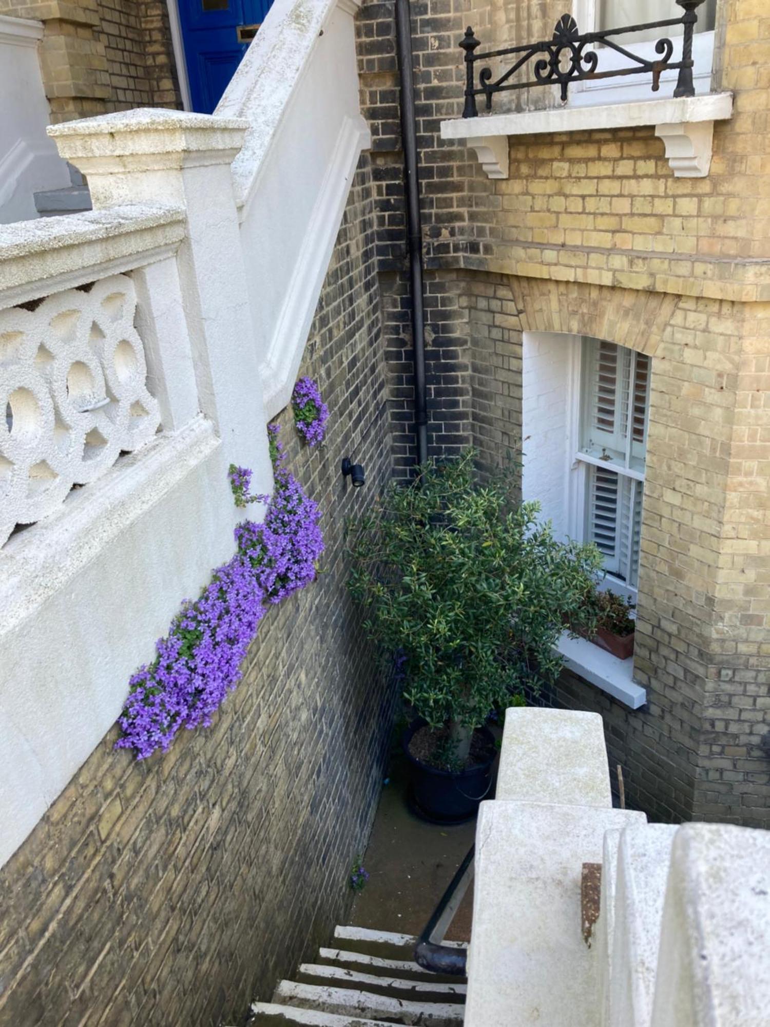 Olive Tree Apartment Hove Kamer foto